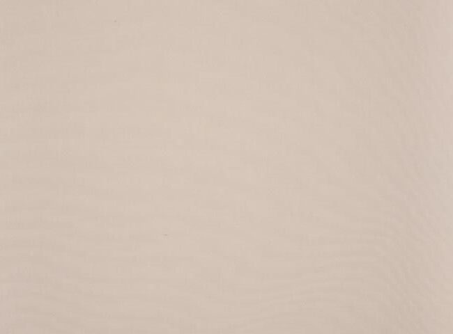 6020_orchestra_max_1_1