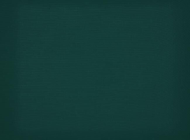 6687_orchestra_max_1_1