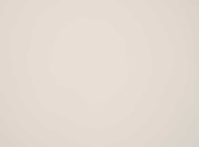 7133_orchestra_max_1_1