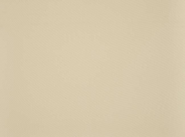 7548_orchestra_max_1_1