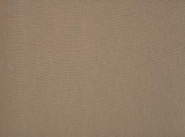 8779_orchestra_max_1_1