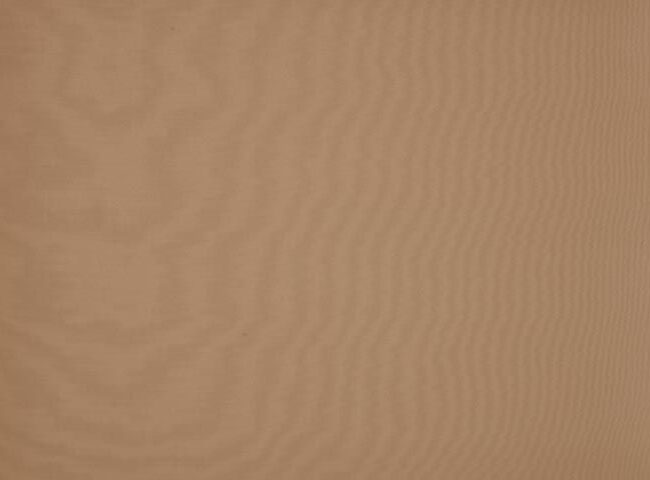 8891_orchestra_max_1_1