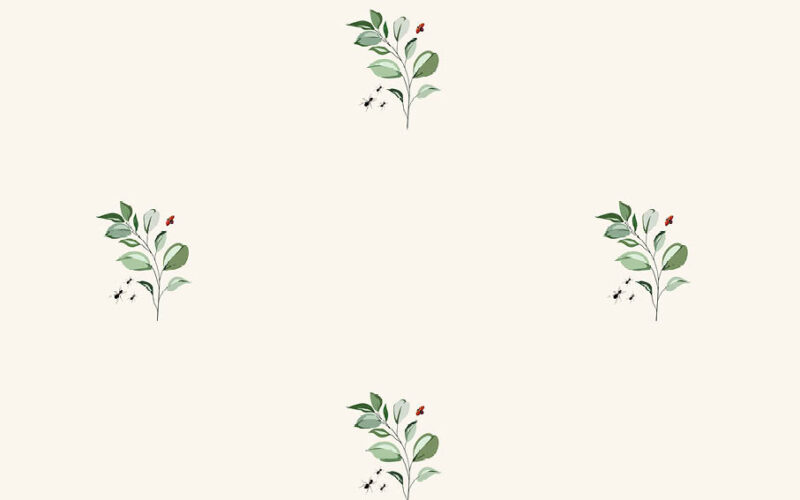 BLACKOUT_Summer-1634