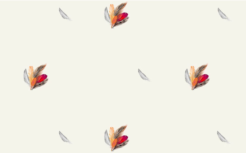 BLACKOUT_cherokee-1630