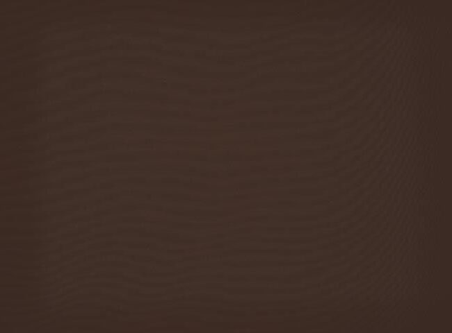 u224_orchestra_max_1_1